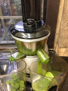 The Omega juicer in action 